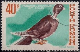 ROUMANIE - Pigeon à Cou Nu (Columba Livia Forma Domestica) - Gebraucht