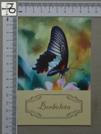 POSTCARD  - BORBOLETA - BUTTERFLIE - 2 SCANS  - (Nº56368) - Papillons