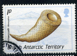BAT Y&T 176° Archaerocyath Monocyathus - Used Stamps