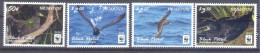 NIUAFO'OU  (FAU462) XC - Albatros & Stormvogels
