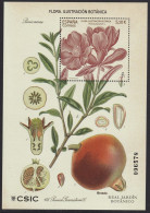2022-ED. 5581 H.B. -Flora. Ilustración Botánica. Punica Grantum L.- NUEVO- - Blocs & Hojas