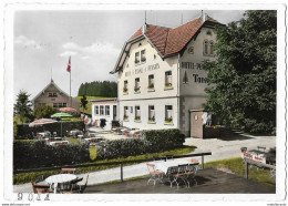 WALD: Hotel Tanne Mit Gartenrestaurant 1960 - Sonstige & Ohne Zuordnung