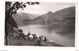 QUINTEN: Foto-AK, Rebberg Und Dörflein 1936 - Berg