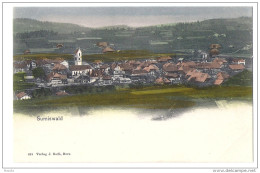 SUMISWALD: Coloriert ~1910 - Sumiswald