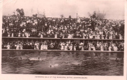 Johannesburg - Swimming Gala At The Municipal Baths - Compétition Natation - Afrique Du Sud South Africa Transvaal - Zuid-Afrika