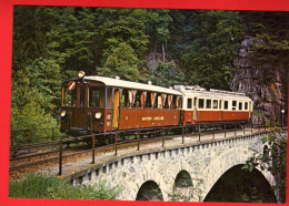 ZWP-16 Train  Martigny-Châtelard Sur Le Viaduc Du Trétien 10.6.1972 Ferroviews Monthey 80/1134 GF NC - Martigny