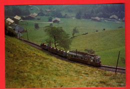 ZWP-17 Train  AOMC En Crémaillière Peu Avant Val D'Illiez. Ferroviews Monthey 82/910 GF NC - Monthey