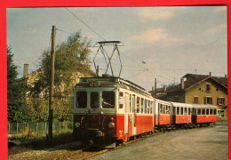 ZWP-19 Train  AOMC  Départ De Monthey Vers Aigle. Ferroviews Monthey 82/912  GF NC - Monthey