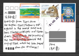 China Tibet Postcard With Antelope Stamp Sent To Peru - Covers & Documents