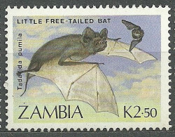 Zambia, 1989 (#479b), Fauna, Mammals, Bats, Animals, Animales, Animaux, Animali, Tiere, Animais, Zwierzeta - 1v Single - Chauve-souris