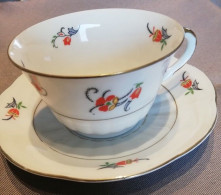 Tasse Et Soucoupe "Schaller Bavaria" Avec Décoration Florale - Tassen