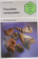 FOSSIELEN VERZAMELEN Door Andreas Richter 120 In Beeld Fossiel / Thieme Zutphen Natuuur - Vita Quotidiana