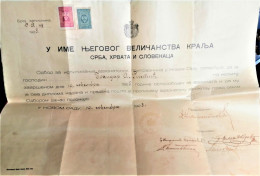 YUGOSLAVIA - KINGDOM SHS - NOVI SAD - UJVIDEK - 1928 - Diplômes & Bulletins Scolaires