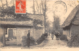 76-BERNEVAL-SUR-MER- LE CHEMIN DE LA FALAISE - Berneval