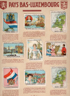 PAYS-BAS LUXEMBOURG Netherlands X 9 Chromos Serie Complete 1930's Pub: Album Pupier TB 68 X 51mm EUROPE - Other & Unclassified