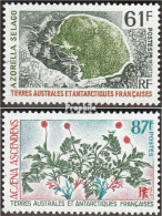 Französ. Gebiete Antarktis 83-84 (kompl.Ausg.) Postfrisch 1973 Antarktische Pflanzen - Neufs