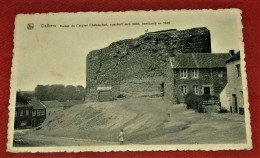 DALHEM  -  Ruines De L'ancien Château-fort - Dalhem