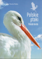 POLAND 2020 POLISH POST OFFICE LIMITED EDITION FOLDER: PROTECTED POLISH BIRDS BLACK & WHITE STORK GREAT EGRET GRAY HERON - Brieven En Documenten