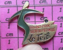 818A Pin's Pins / Beau Et Rare / SPORTS / PETANQUE GRAND PRIX SECTEUR PETANQUE LE TEIL - Boule/Pétanque