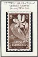 GUINEE ESPAGNOLE - Fleurs, Flowers, Crinole Géante - Y&T N° 336 - 1952 - MH - Guinea Española