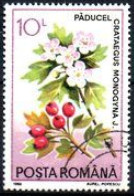 ROUMANIE -  Plantes Médicinales  : Crataegus Monogyna - Used Stamps