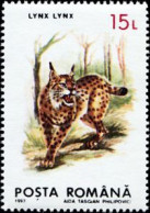 ROUMANIE -  Lynx D'Eurasie (Lynx Lynx) - Gebraucht