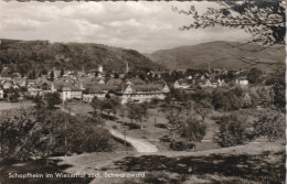 Schopfheim - Agfa-Originalfoto-Karte - Schopfheim