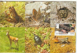 MEXICO. Stamp Mexican Wildlife, Reptiles, Etc. "Mexico Conserva". Environmental Protection. Maximum-card - Serpents