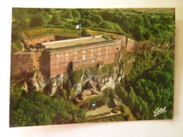 Territoire De BELFORT - Vue Aérienne Du Château Et Du Lion - Rougemont-le-Château