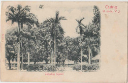 Castries, Saint Lucia, Sainte Lucie. Antilles. Columbus Square. Carte Précurseur Circulé. 2 Scans - St. Lucia