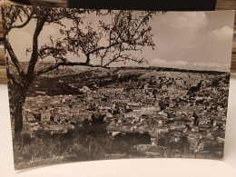 Cartolina Scicli Provincia Ragusa ,panorama 1955 - Ragusa