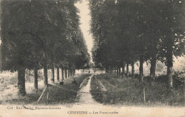 CERISIERS : LES PROMENADES - Cerisiers