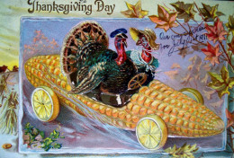 Cpa Gaufrée TUCK DINDON DINDE En VOITURE EPI De MAIS , 1911 , Thanksgiving Day DRESSED TURKEY DRIVING A  CAR Embossed Pc - Thanksgiving