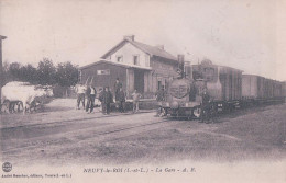 France 37, Neuvy Le Roy, Chemin De Fer, La Gare Et Train à Vapeur, Attelage De Boeufs (28.2.1927) - Neuvy-le-Roi