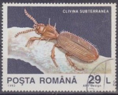 ROUMANIE -  Coccinelle Du Sol (Clivina Subterranea) - Gebraucht