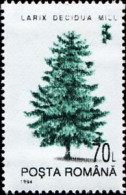 ROUMANIE -  Mélèze D'Europe (Larix Decidua) - Gebraucht