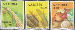 Namibia - 2005 - Vegetables Crop Production Nutzpflanzen - Vegetazione