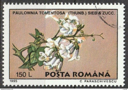 ROUMANIE -  Paulownia Tomentosa - Used Stamps