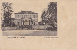 Elsene, Souvenir D'Ixelles, La Maison Communale (pk85659) - Elsene - Ixelles