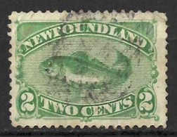 CANADA.." NEWFOUNDLAND  "...QUEEN VICTORIA..(1837-01..)...." 1880."..COD.....2c....(CAT.VAL.£32..)........USED.... - 1865-1902