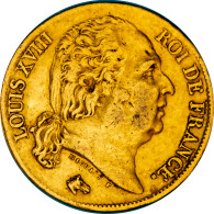 Restauration - 20 Francs Or Louis XVIII 1817 Bayonne - 20 Francs (oro)