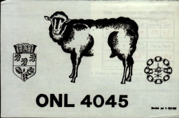 CARTE QSL. ONL 4045  BELGIUM  .1980 - Radio