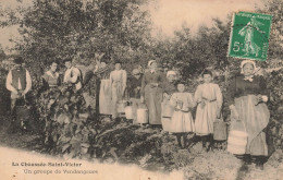 La Chaussée St Victor * Un Groupe De Vendangeurs * Vendanges Vignes Vin Viticulteur - Saintes