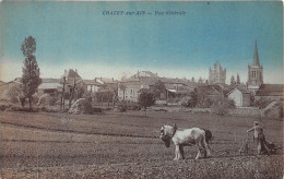 01-CHAZEY-SUR-AIN- VUE GENERALE - ( LES LABOURS ) - Unclassified