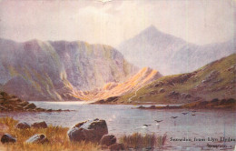 British Fine Art Scenic Postcard Snowdon From Llyn Llydau - Other & Unclassified