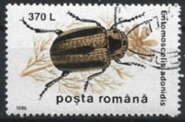 ROUMANIE - Coccinelle Des Feuilles (Entomoscelis Adonidis) - Used Stamps