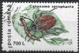 ROUMANIE - Calosome Européen (Calosoma Sycophanta) - Used Stamps