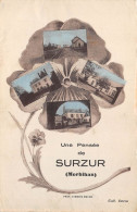 56-SURZUR- UNE PENSEE DE SURZUR MULTIVUES - Altri & Non Classificati