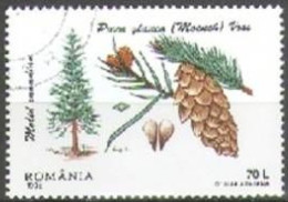 ROUMANIE - Épicéa Blanc (Picea Glauca) - Used Stamps