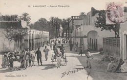 Algérie - LAGHOUAT - Avenue Marguerite - Laghouat